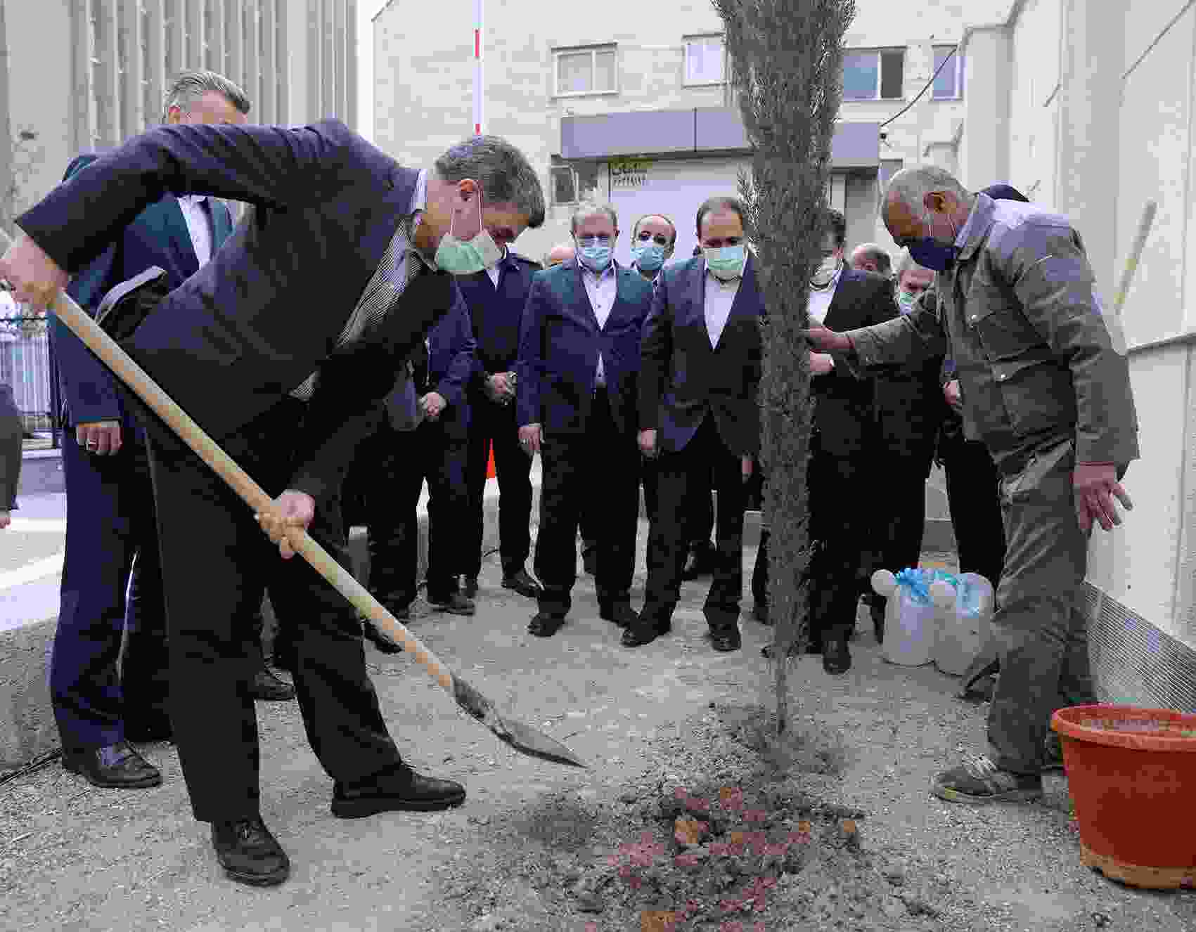 روز درختکاری