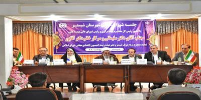 اقتصاد تک محصولی