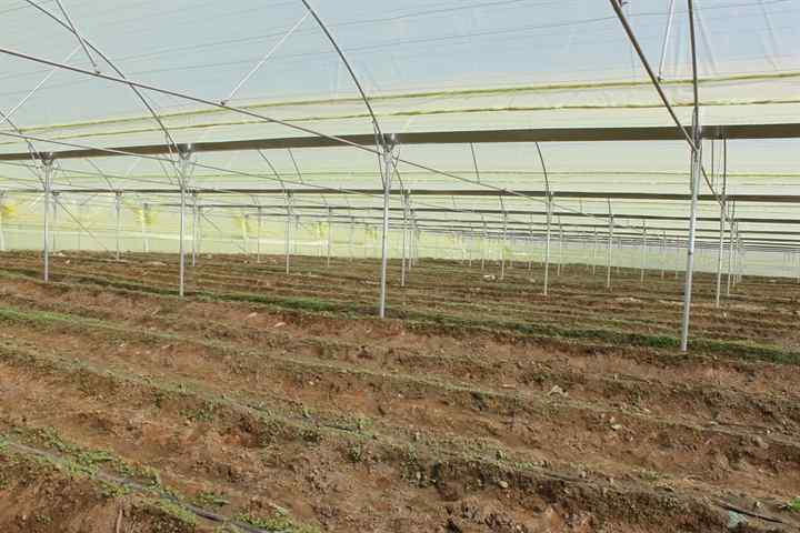 محل اعتبار اشتغال