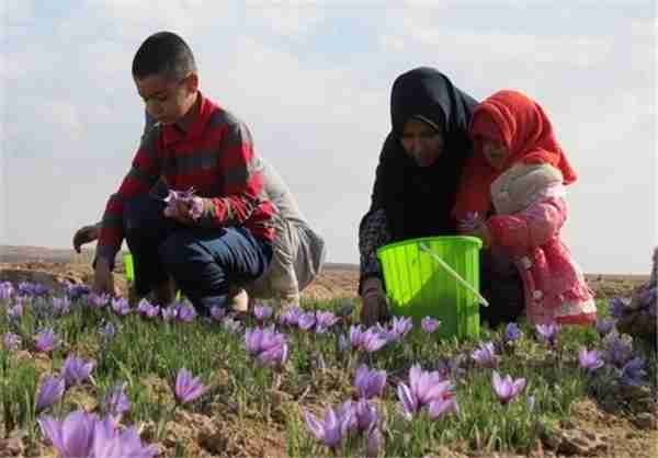 کسب و کارهای کوچک