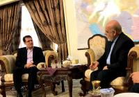 بیمه التضامن