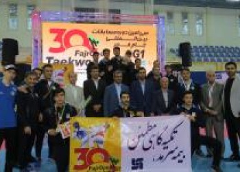 نائب قهرمانی