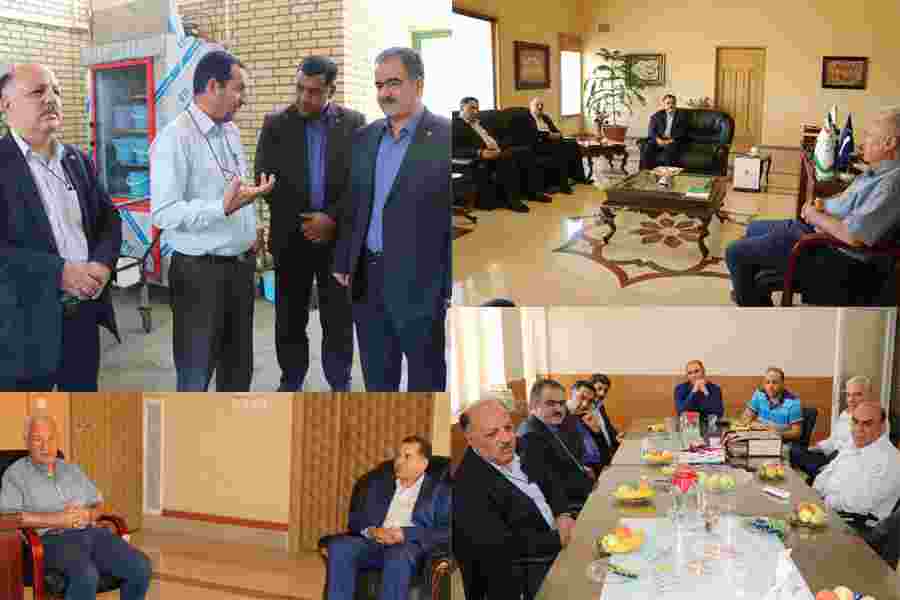 محمدرضا سبزواری