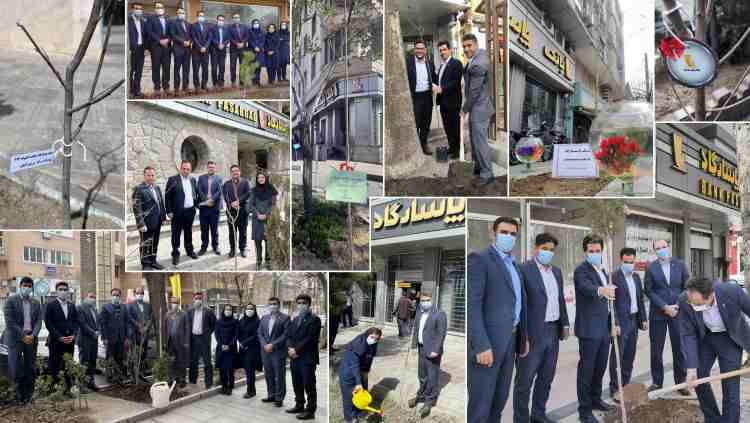 «کاشت نهال»