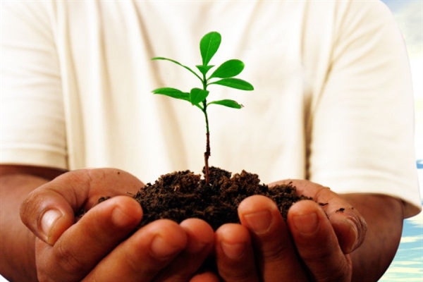 ارزیابی خسارات