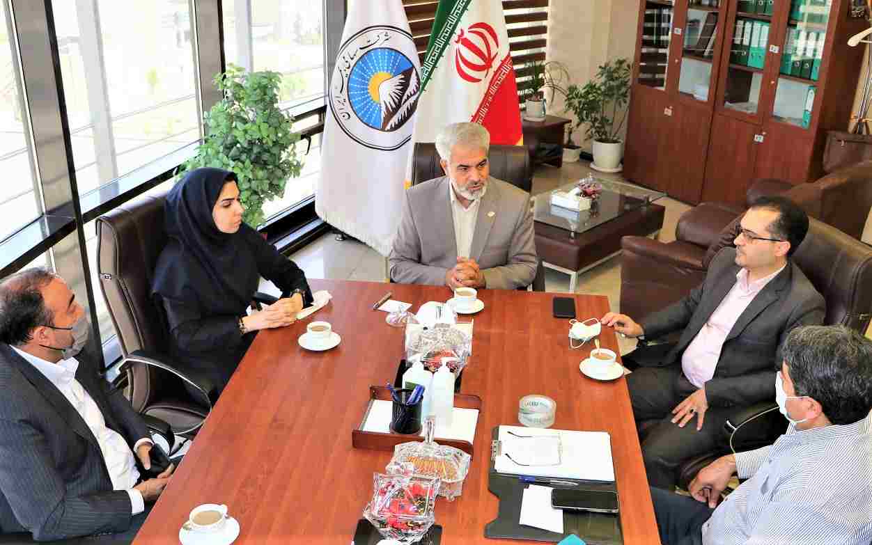 غیر بیمه گری