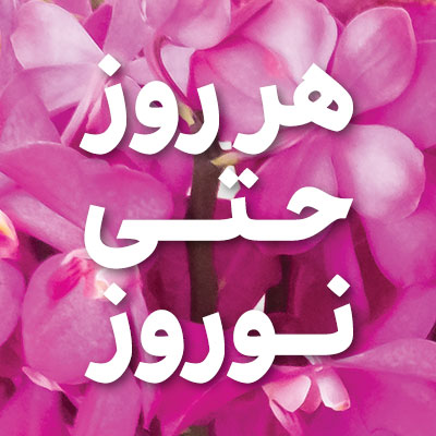 شعب کشیک بانک اقتصادنوین