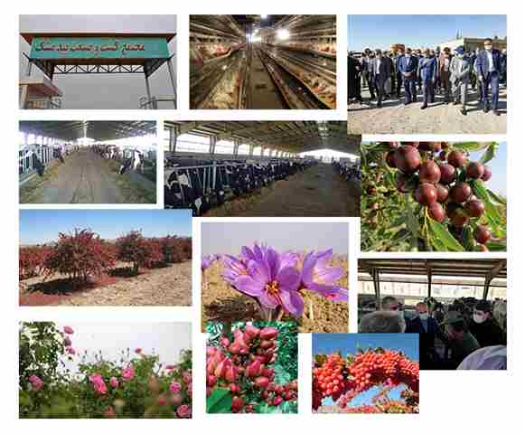 مجتمع کشت و صنعت بیدمشک