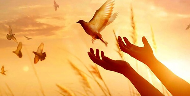 کمپین آزاد سازی زندانیان