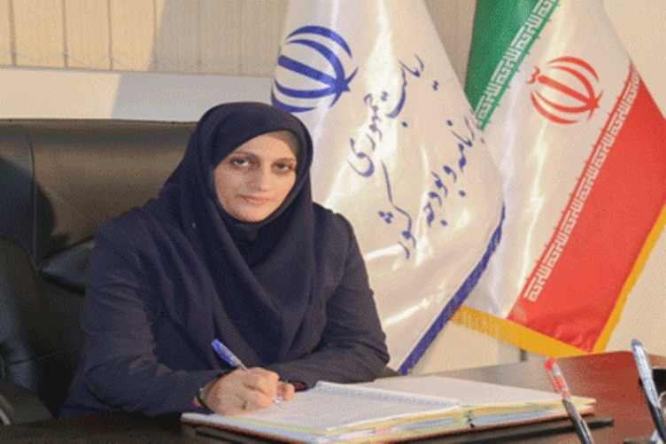 سامانه جامع مدیریت تضامین دولت