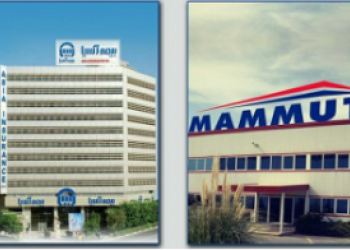 گروه صنعتی ماموت